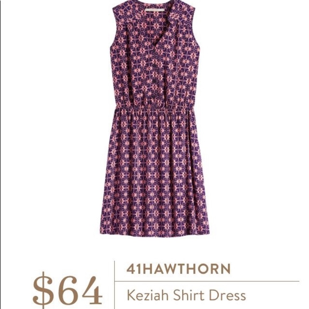 41 Hawthorn Dress Stitch Fix